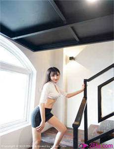 吸血鬼维达